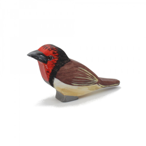 Black-Collared Barbet / Medium Size Wooden Bird