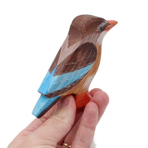 Brown-hooded-Kingfisher-Toddler-Bird