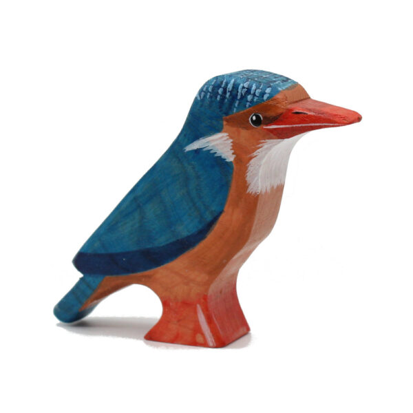 Malachite-Kingfisher-Toddler-Bird