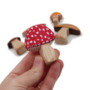 Wooden Mushrooms Set (5 Pieces)